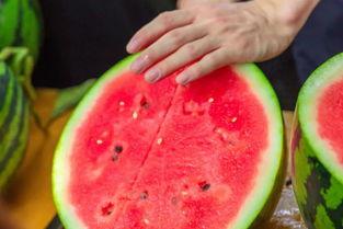 郑州大学免费吃瓜,免费瓜果盛宴,共享清凉时光 第3张 郑州大学免费吃瓜,免费瓜果盛宴,共享清凉时光 第3张